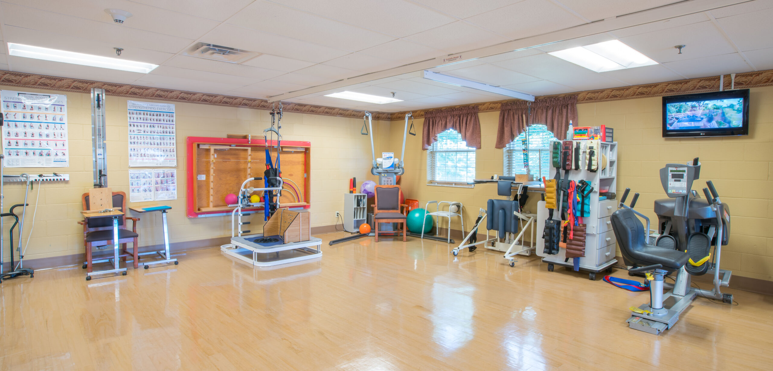 Physical Therapy image